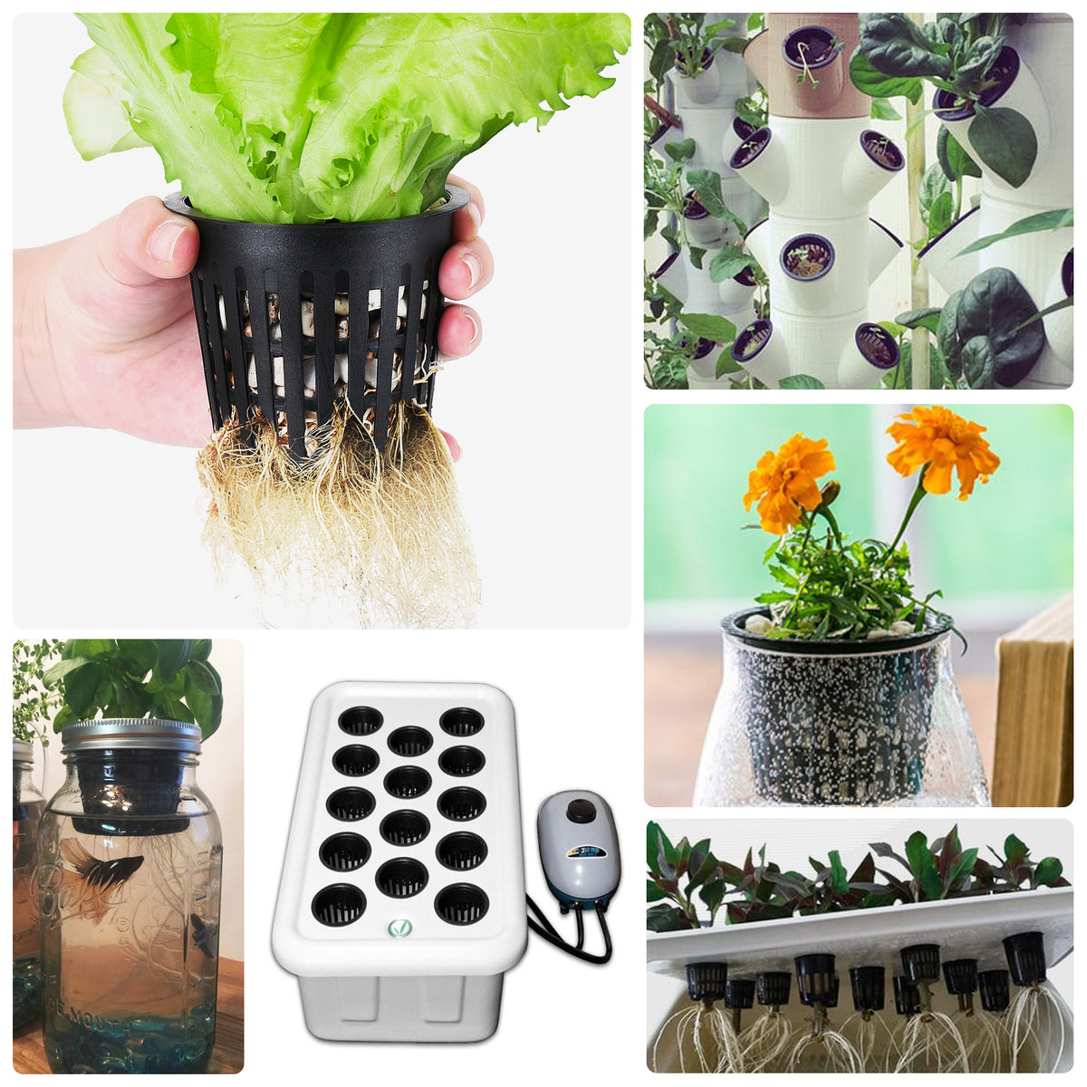 pots for hydroponic plants 3 Inch Net Cup Pots Wide Lip Rim with Self Watering Wick & Plant Labels for Hydroponic Aquaponics System Mason Jar Bucket Box Container Garden Setup