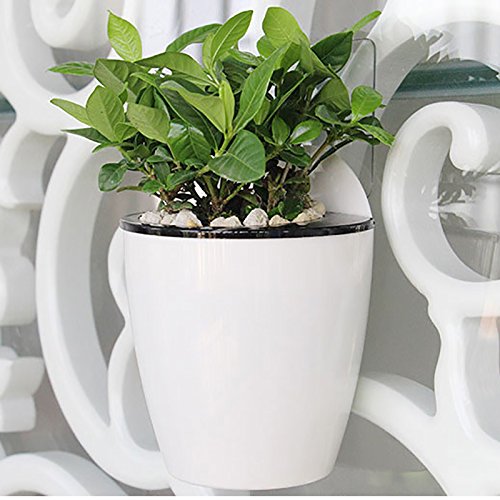 self watering plastic wall planter Hanging Planter Pots Self Watering Vertical Garden Wall Mount Window Hang Round Plastic Container Indoor Outdoor for Plants Flowers Succulent Kitchen