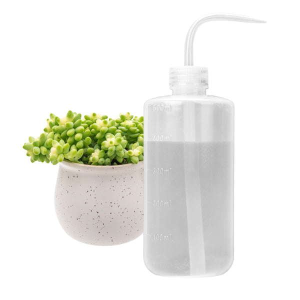 succulent waterer 500mL Small Watering Can for Indoor House Plants Flower Succulent Bonsai Terrarium Seedling Orchid Cactus Violet LDPE Plastic Squeeze Safety Lab Wash