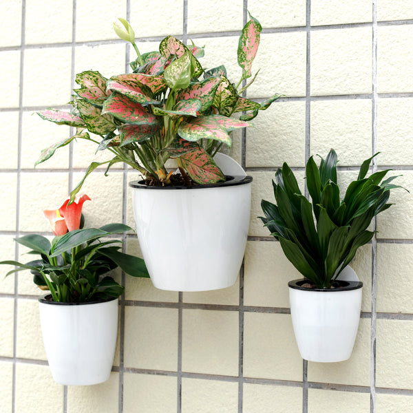 plastic wall planter indoor Hanging Planter Pots Self Watering Vertical Garden Wall Mount Window H – Orimerc