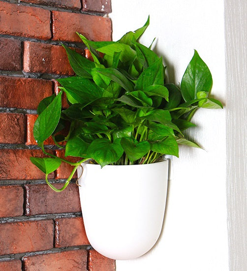 indoor plant wall pots Corner Wall Mounted Hanging Planter Self Watering Triangle Plastic Flower Pot Decorative Modern Plant Vase Container Holder for Succulent Cactus